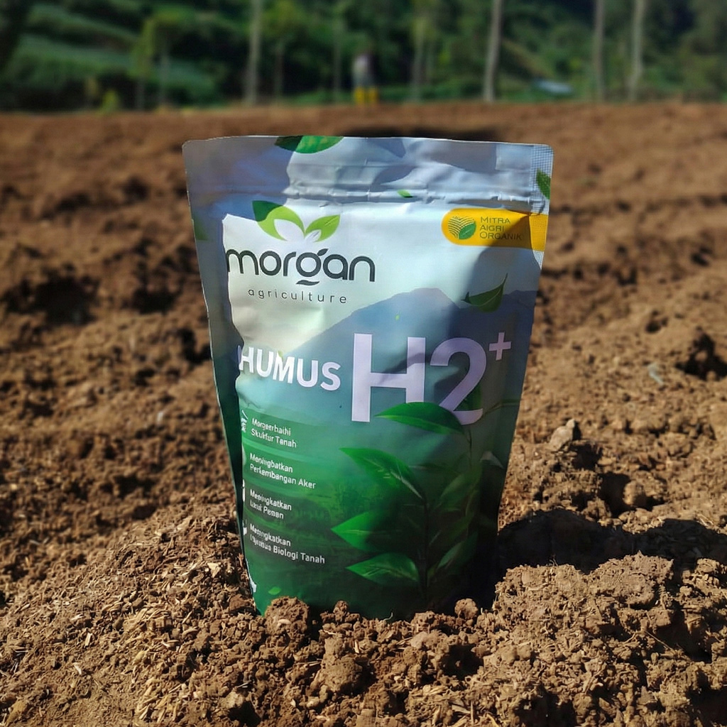 H2+ Hayati Plus (Subsidi) (Morgan)