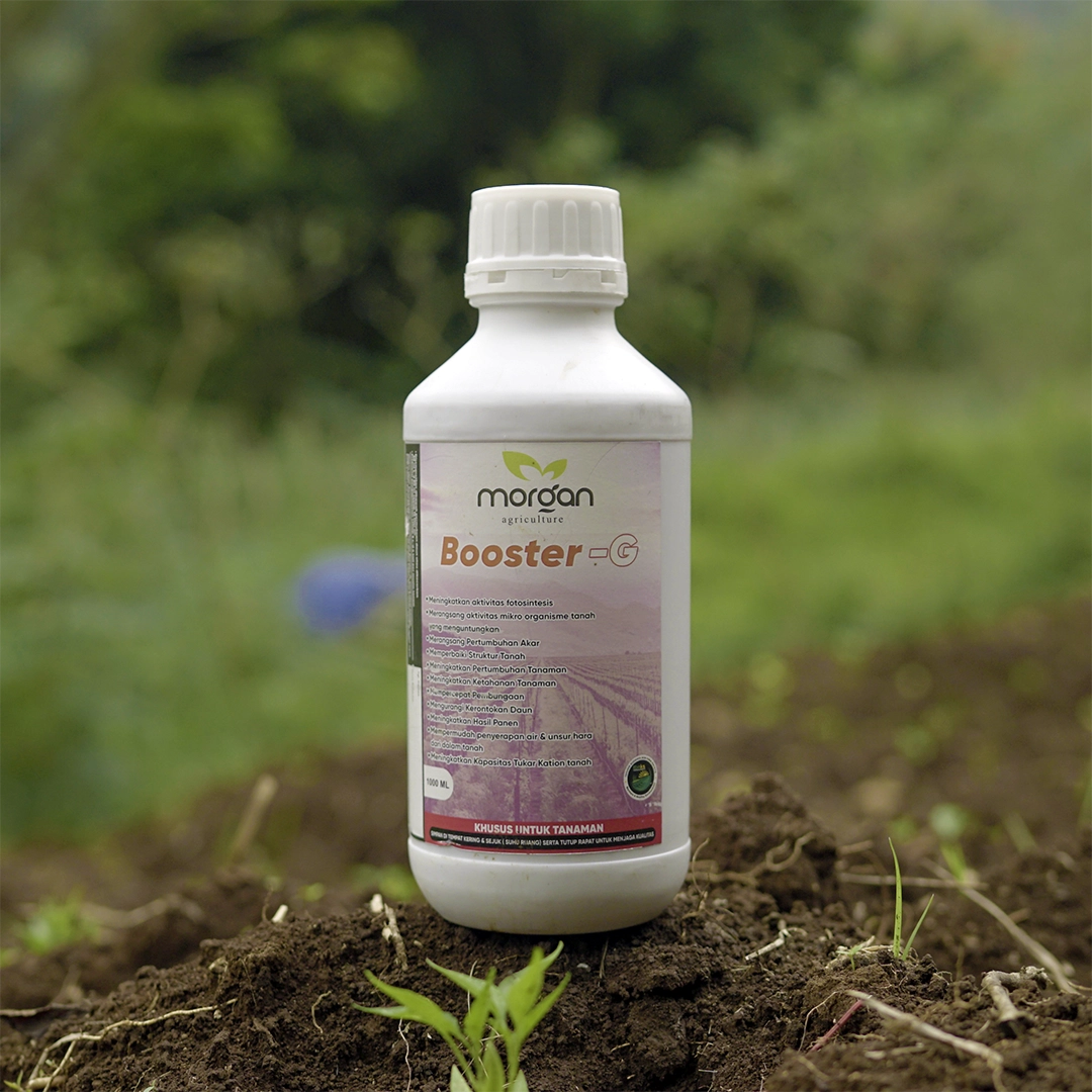 Booster-G (Morgan)